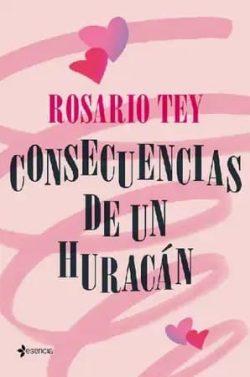 Consecuencias  de  un  huracán  |  Rosario  Tey